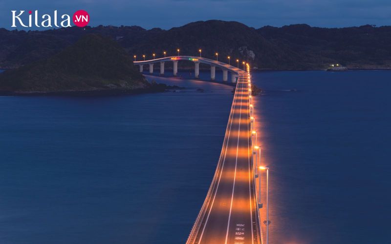 khung cảnh lấp lánh vào buổi đêm khi cầu lên đèn